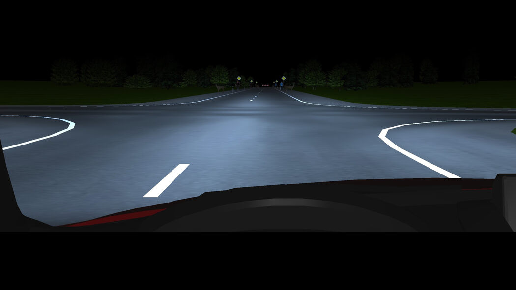 Road crossing illuminated by a standard automotive high beam headlight.