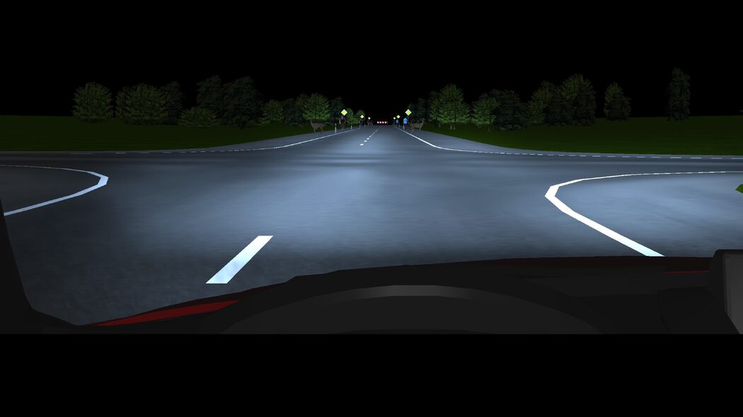 Road crossing illuminated by Gerg Nanolight high beam.